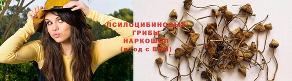 мет Арсеньев