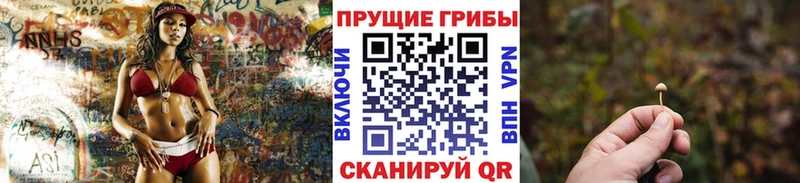 Галлюциногенные грибы Magic Shrooms  где продают наркотики  Певек 